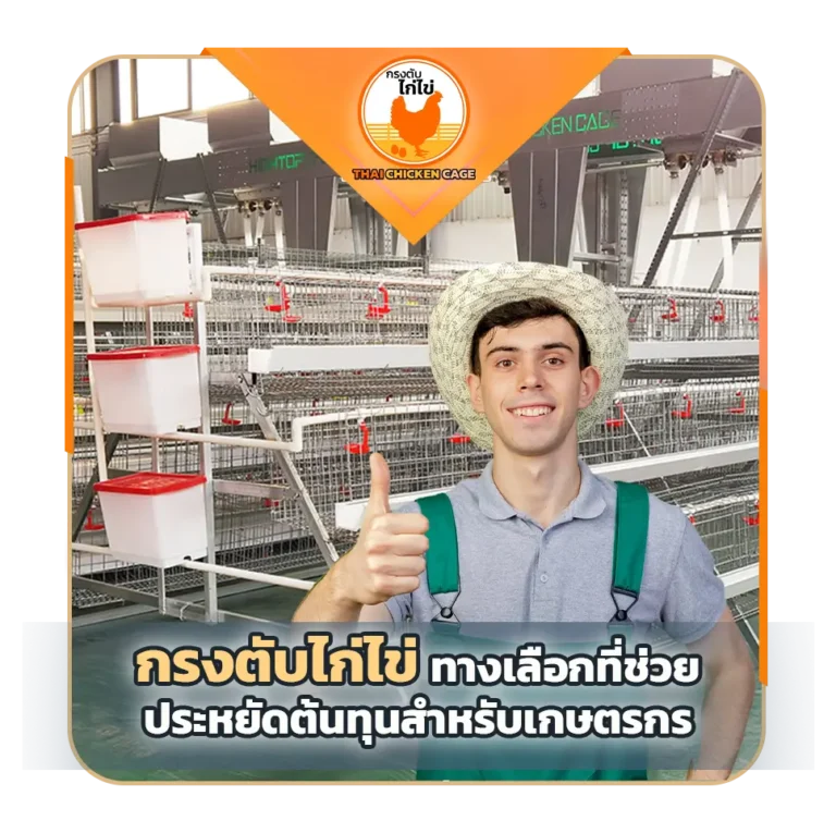 กรงตับไก่ไข่ ทางเลือกที่ช่วยประหยัดต้นทุนสำหรับเกษตรกร