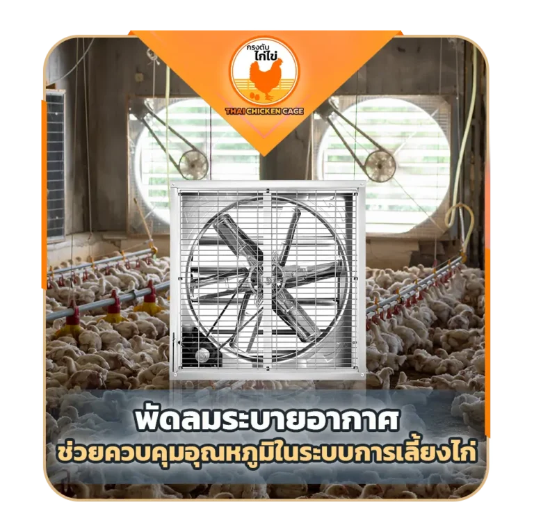 พัดลมระบายอากาศช่วยควบคุมอุณหภูมิในระบบการเลี้ยงไก่