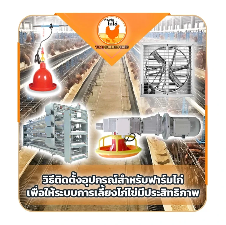 วิธีติดตั้งอุปกรณ์สำหรับฟาร์มไก่-เพื่อให้ระบบการเลี้ยงไก่