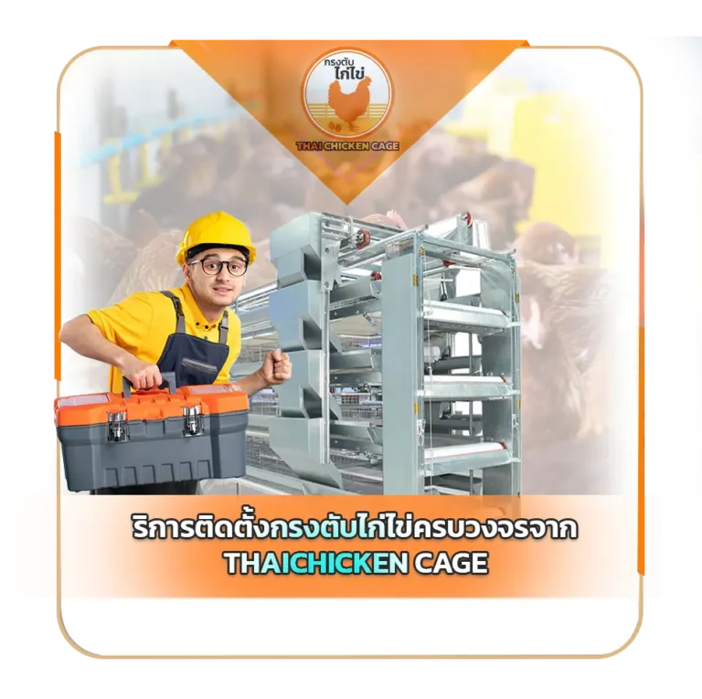 บริการติดตั้งกรงตับไก่ไข่ครบวงจรจาก ไทยชิกเก้นเคจ