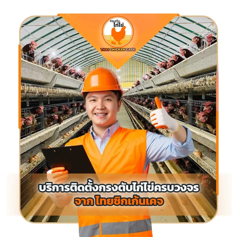 บริการติดตั้งกรงตับไก่ไข่ครบวงจรจาก-ไทยชิกเก้นเคจ