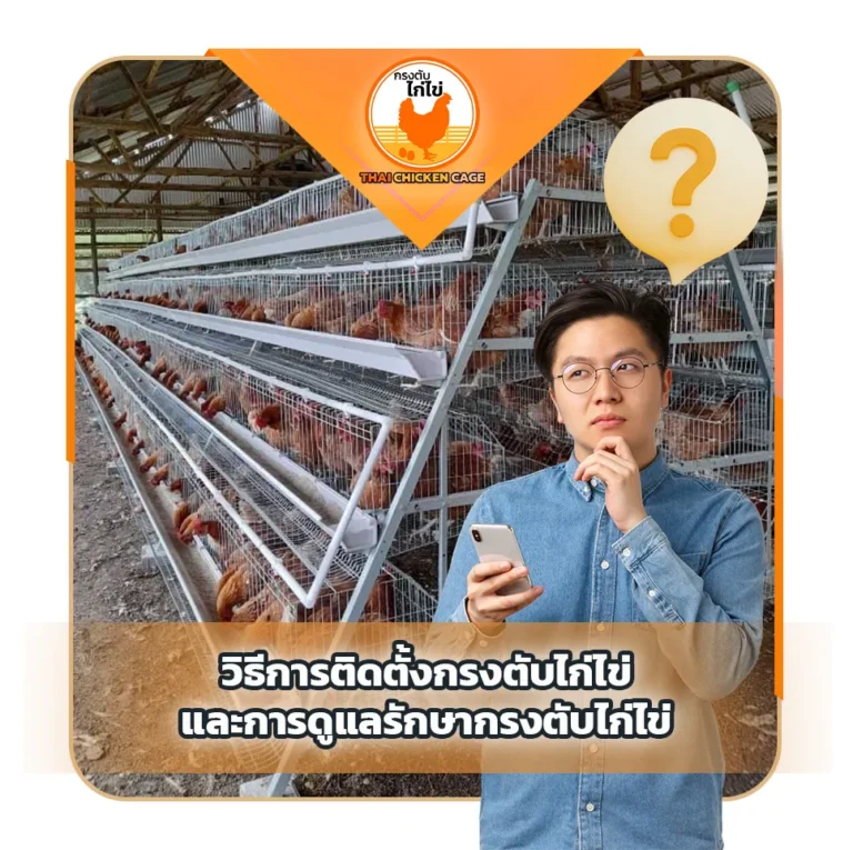 วิธีการติดตั้งกรงตับไก่ไข่และการดูแลรักษากรงตับไก่ไข่