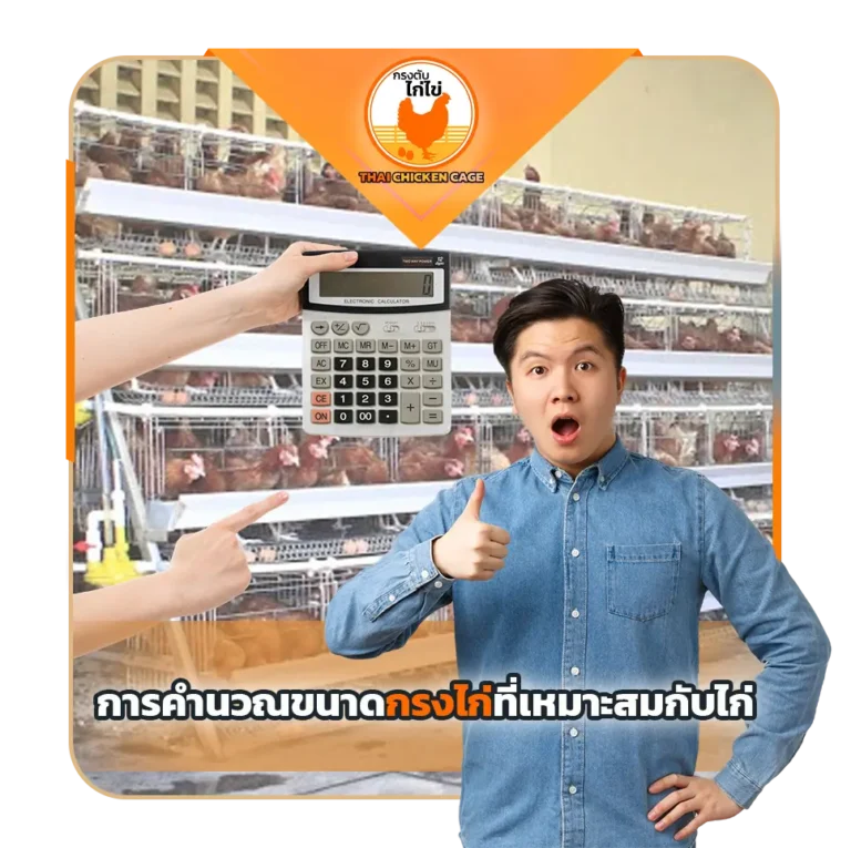 การคำนวณขนาดกรงไก่ที่เหมาะสมกับขนาดของไก่