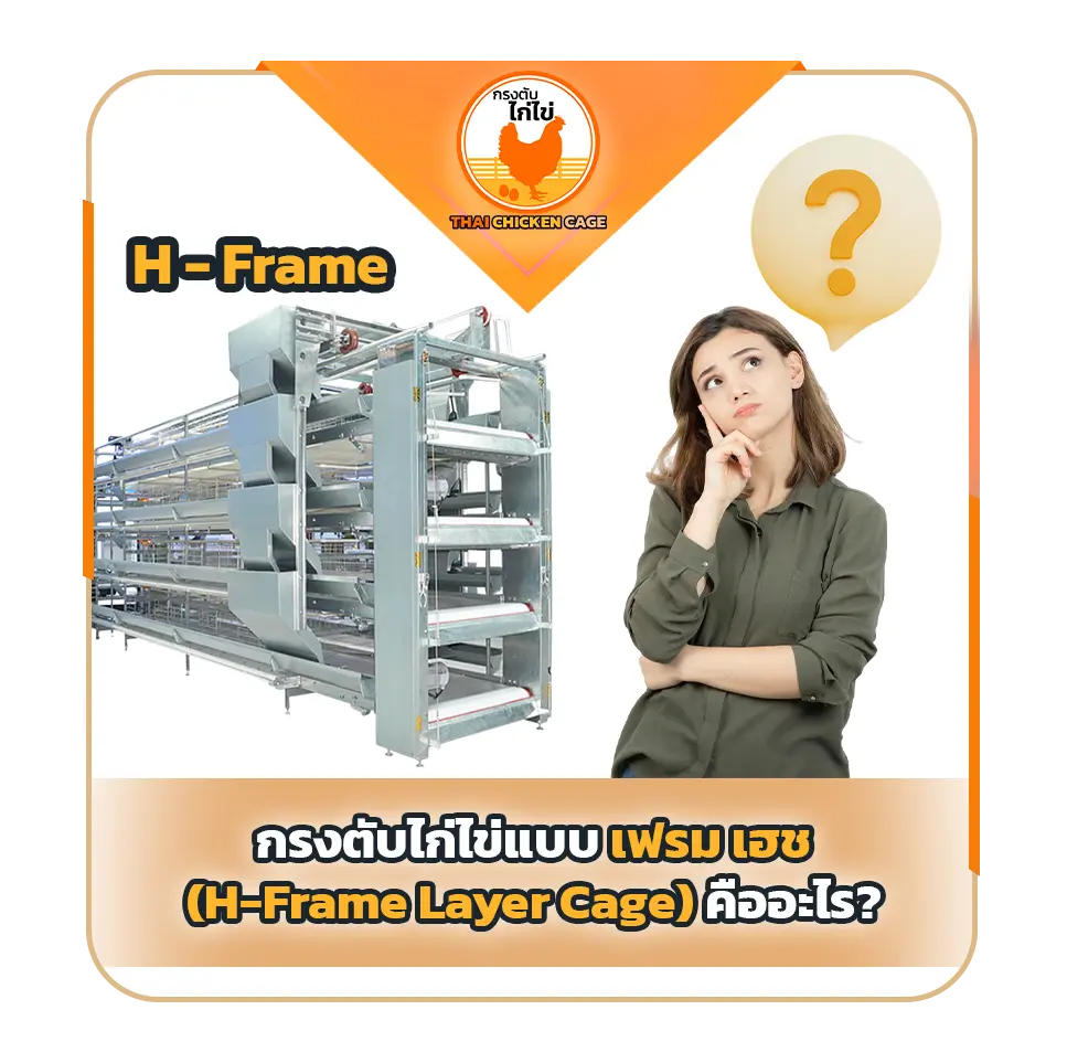 กรงตับไก่ไข่แบบเฟรม เฮช (H-Frame Layer Cage) คืออะไร