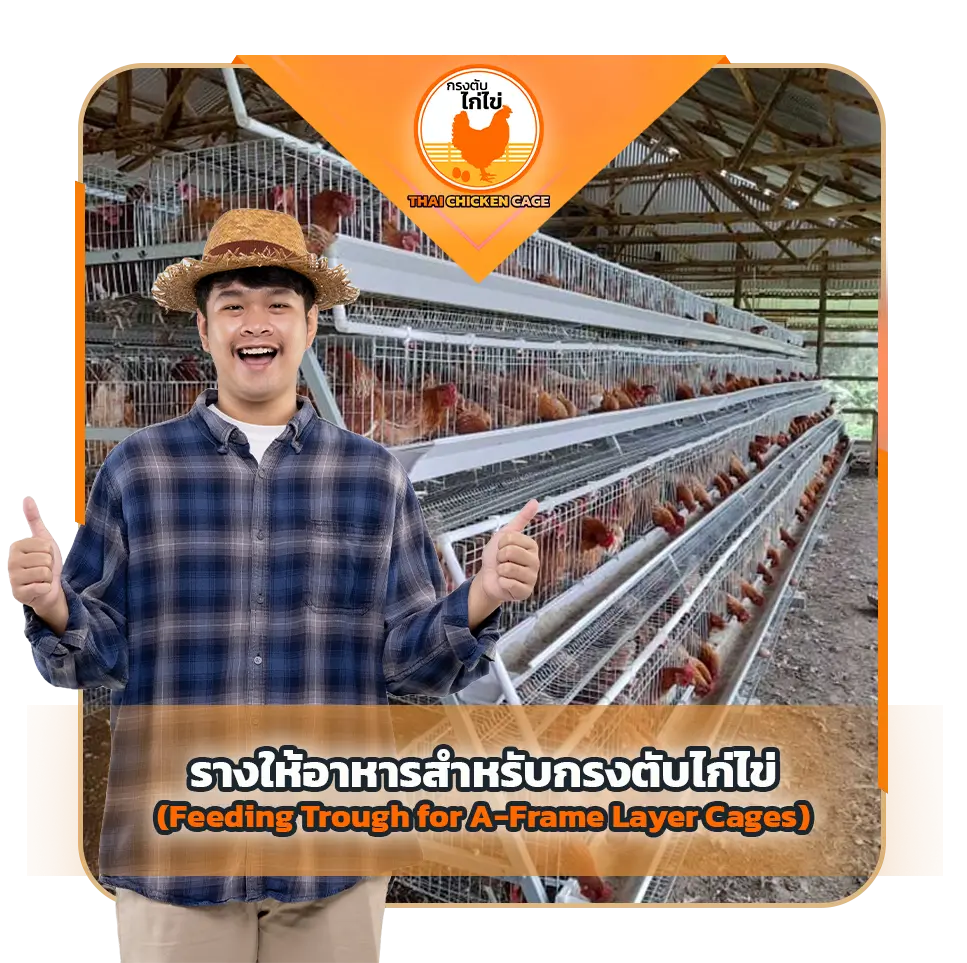 รางให้อาหารสำหรับกรงตับไก่ไข่ (Feeding Trough for A-Frame Layer Cages)