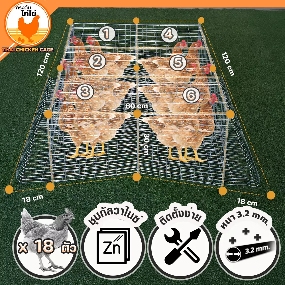 กรงตับไก่ไข่สำหรับเลี้ยง 18 ตัว - Image 3