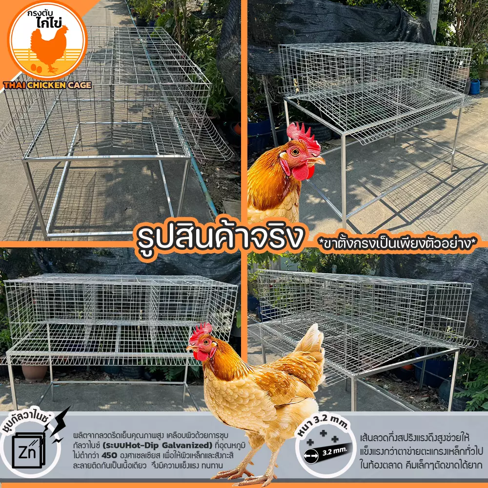 กรงตับไก่ไข่สำหรับเลี้ยง 18 ตัว - Image 4