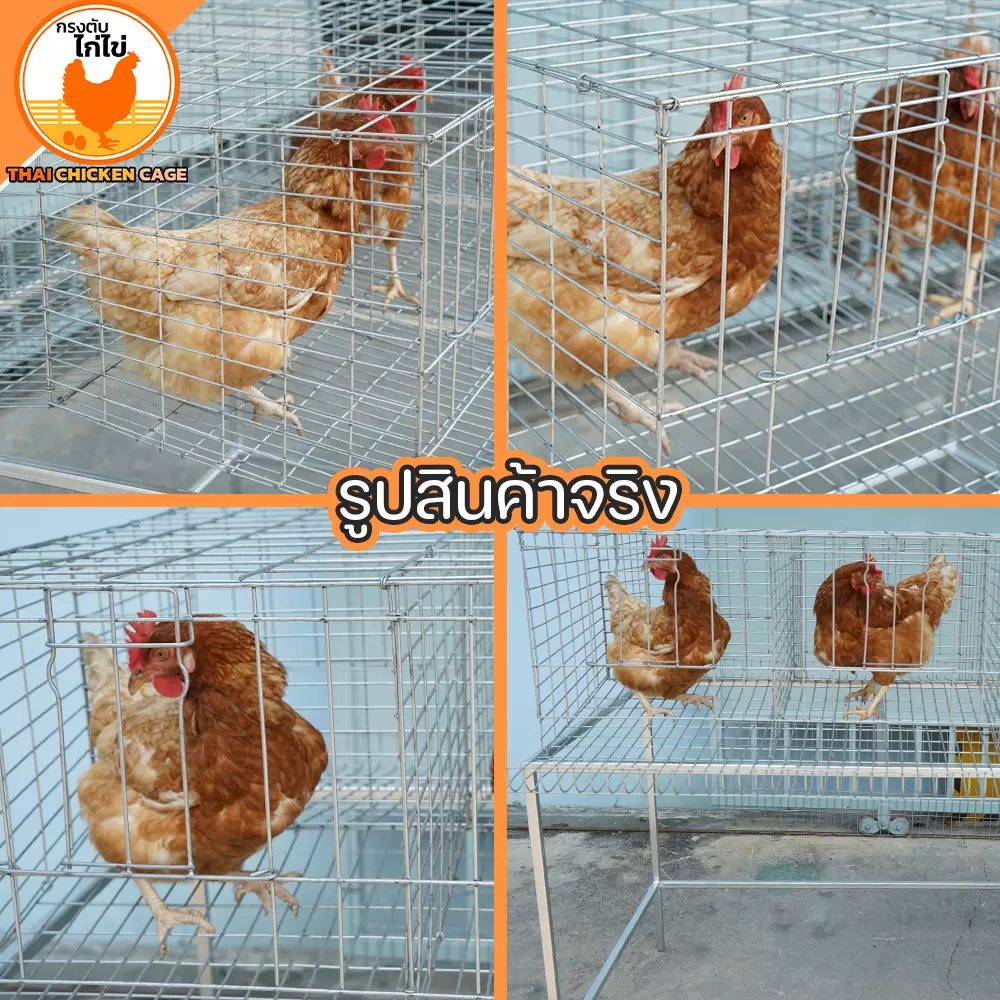 กรงตับไก่ไข่สำหรับเลี้ยง 18 ตัว - Image 5