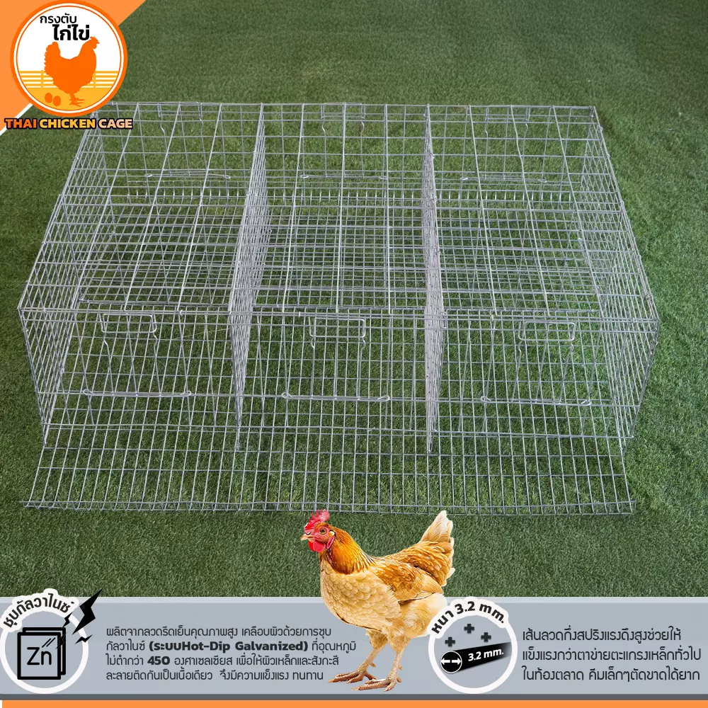 กรงตับไก่ไข่สำหรับเลี้ยง 18 ตัว - Image 6