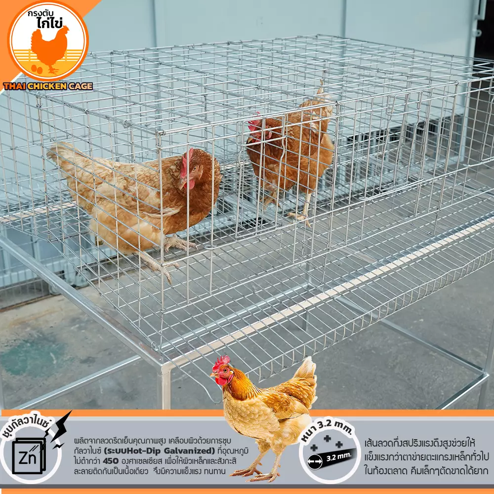 กรงตับไก่ไข่สำหรับเลี้ยง 18 ตัว - Image 9