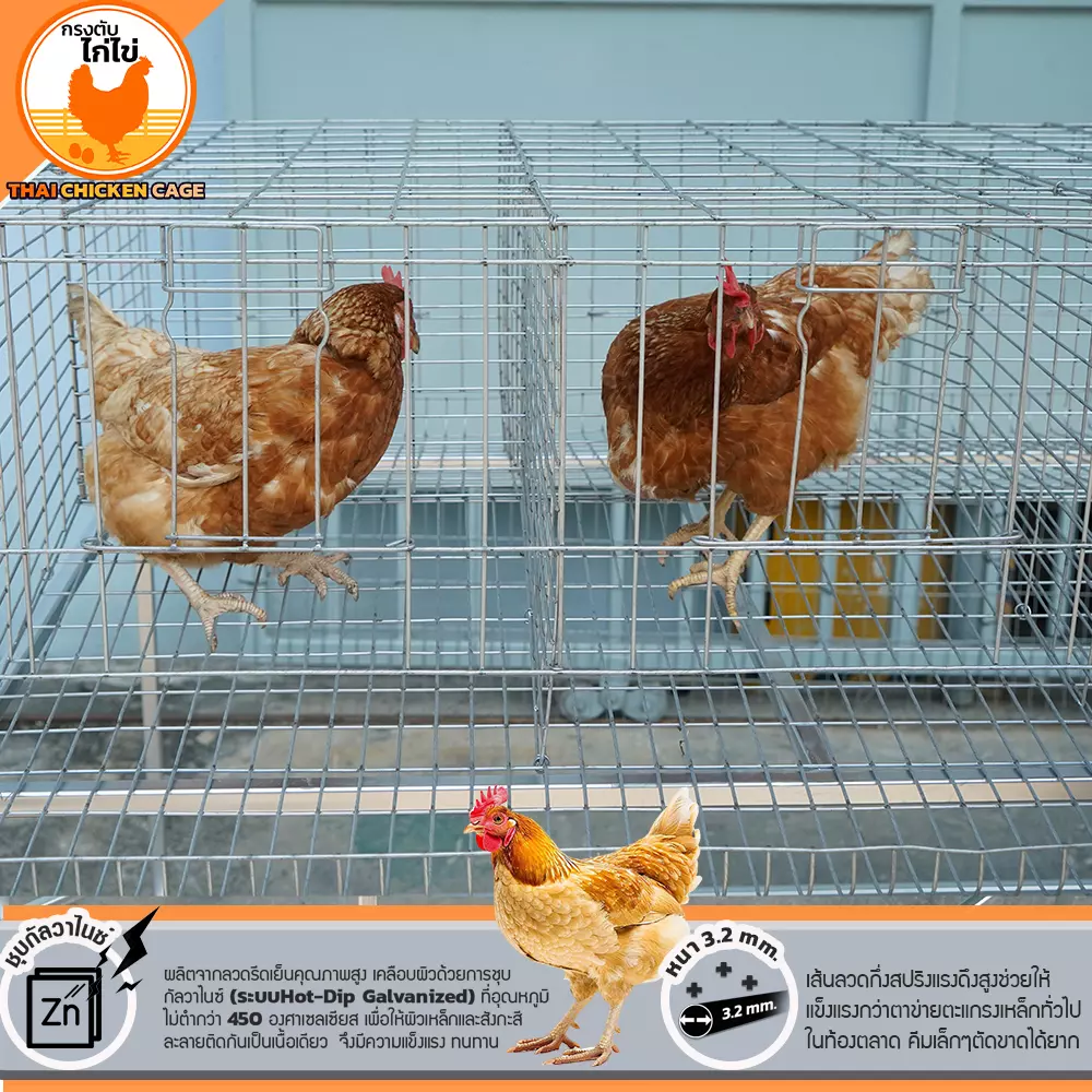 กรงตับไก่ไข่สำหรับเลี้ยง 18 ตัว - Image 10