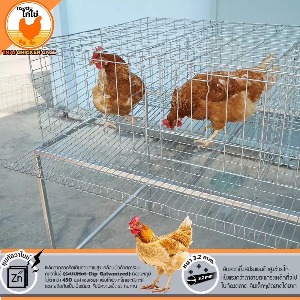 กรงตับไก่ไข่สำหรับเลี้ยง 18 ตัว - Image 11