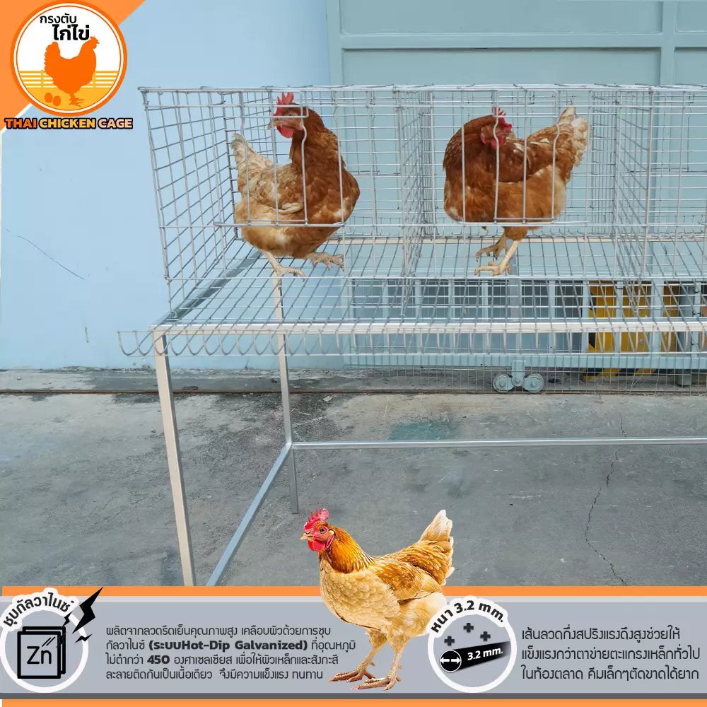 กรงตับไก่ไข่สำหรับเลี้ยง 18 ตัว - Image 12