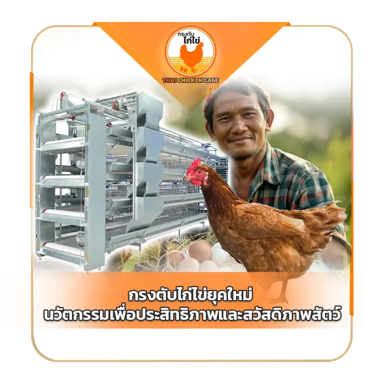 กรงตับไก่ไข่ยุคใหม่นวัตกรรมเพื่อประสิทธิภาพและสวัสดิภาพสัตว์