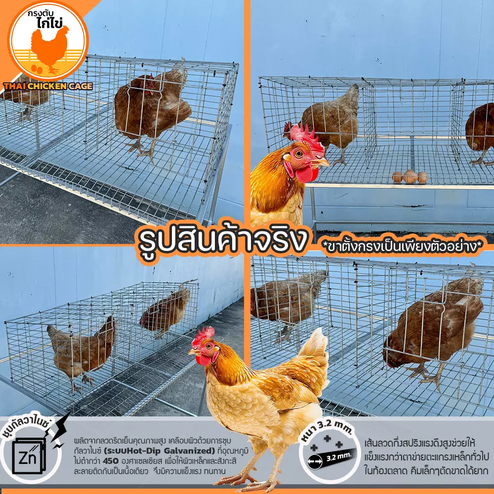 กรงตับไก่ไข่ สำหรับเลี้ยง 9 ตัว - Image 2