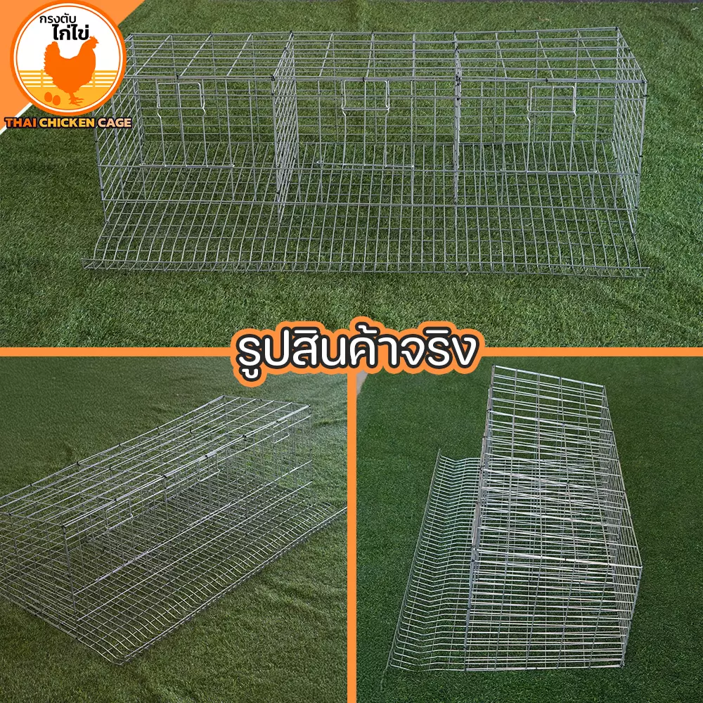 กรงตับไก่ไข่ สำหรับเลี้ยง 9 ตัว - Image 8