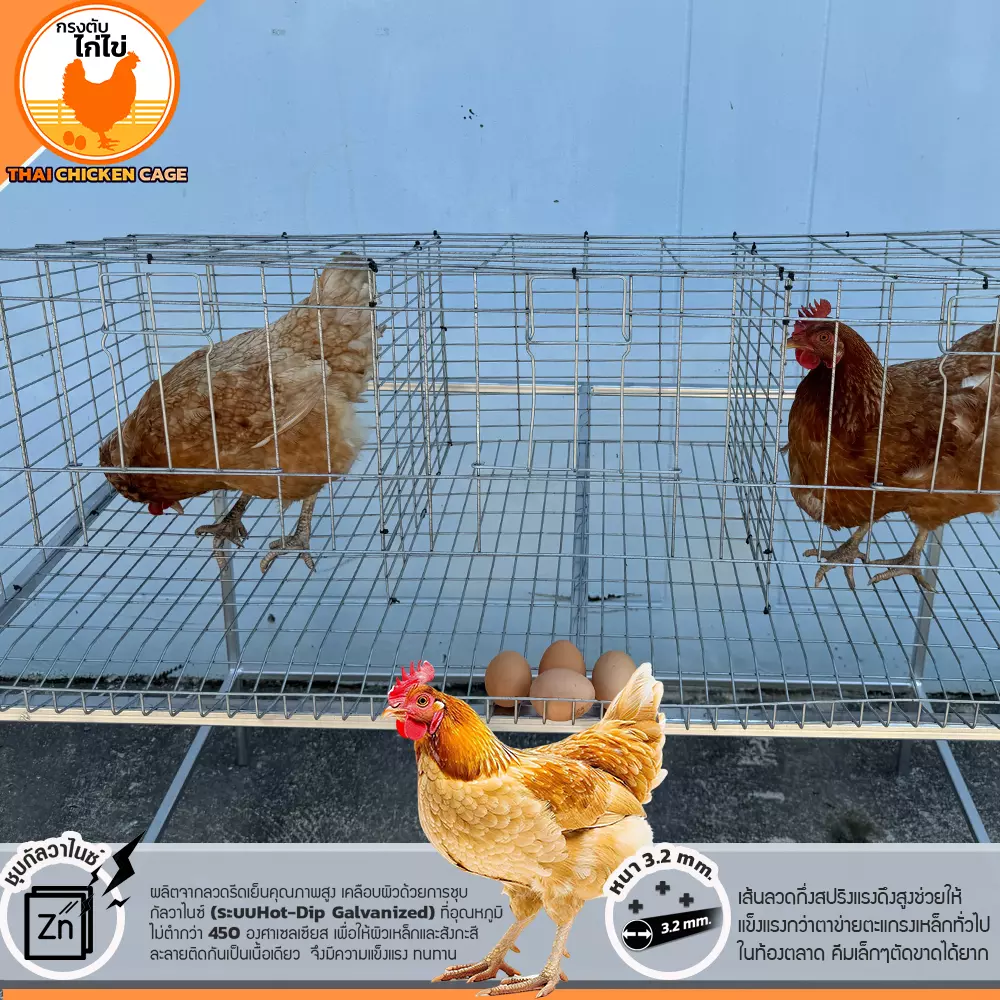 กรงตับไก่ไข่ สำหรับเลี้ยง 9 ตัว - Image 7