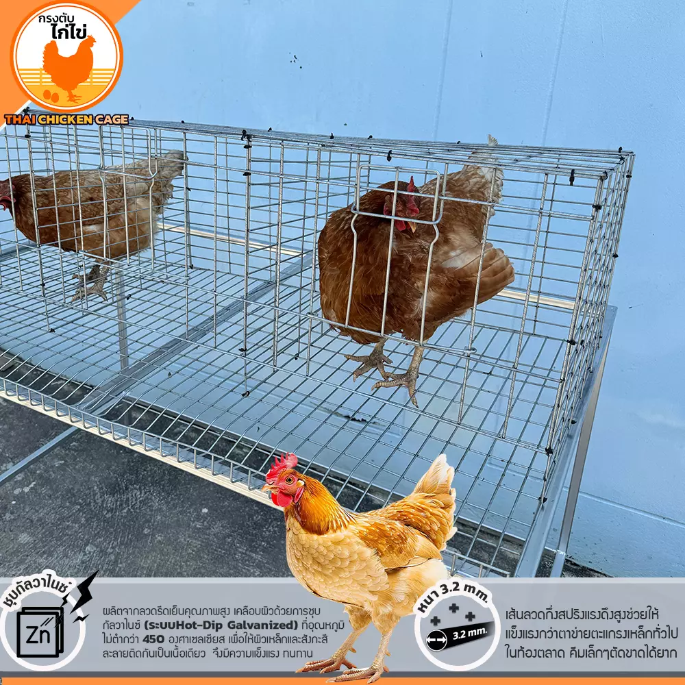 กรงตับไก่ไข่ สำหรับเลี้ยง 9 ตัว - Image 6