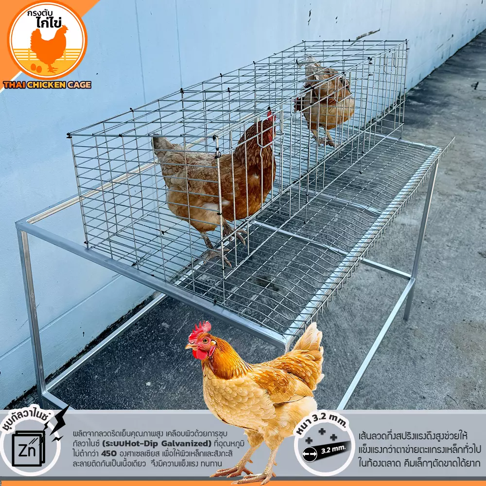 กรงตับไก่ไข่ สำหรับเลี้ยง 9 ตัว - Image 5