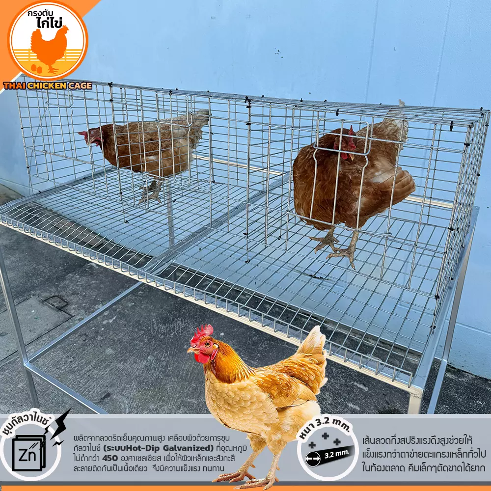 กรงตับไก่ไข่ สำหรับเลี้ยง 9 ตัว - Image 4