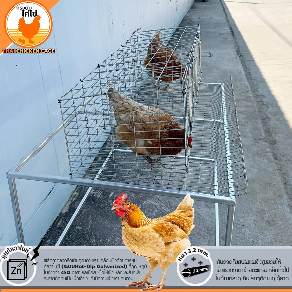 กรงตับไก่ไข่ สำหรับเลี้ยง 9 ตัว - Image 3