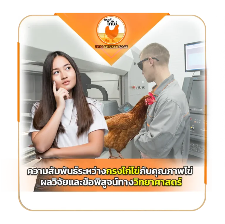 ความสัมพันธ์ระหว่างกรงไก่ไข่กับคุณภาพไข่