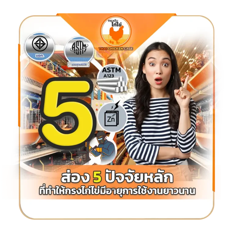 ส่อง 5 ปัจจัยหลักที่ทำให้กรงไก่ไข่มีอายุการใช้งานยาวนาน