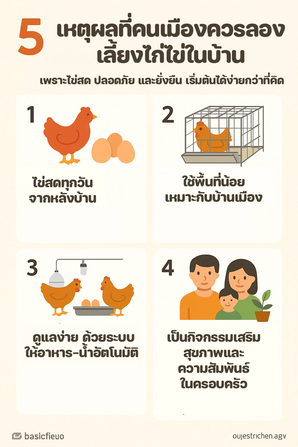 5-เหตุผลที่คนเมืองควรลองเลี้ยงไก่ไข่ในบ้า