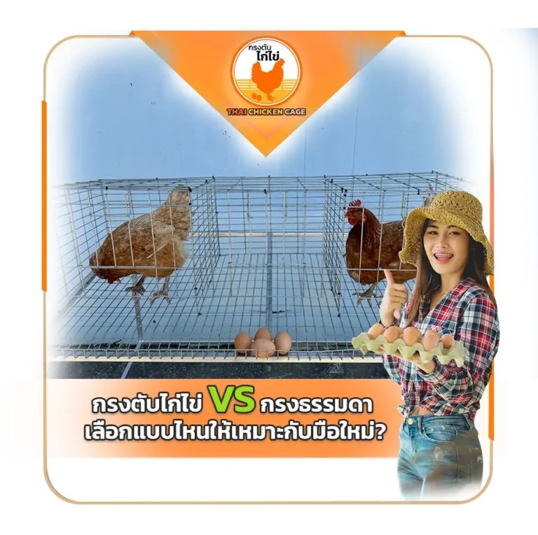 กรงตับไก่ไข่ VS กรงธรรมดา เลือกแบบไหนให้เหมาะกับมือใหม่?