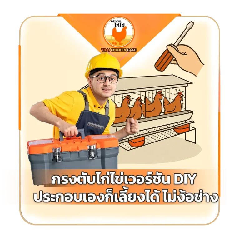 กรงตับไก่ไข่เวอร์ชัน DIY ประกอบเองก็เลี้ยงได้ ไม่ง้อช่าง