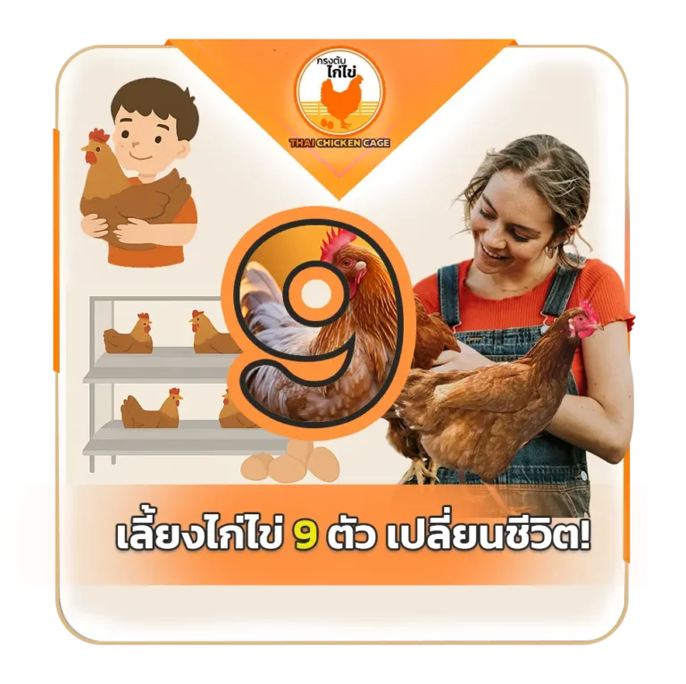 เลี้ยงไก่ไข่ 9 ตัว เปลี่ยนชีวิต! เมื่อกรงเล็กกลายเป็นเครื่องผลิตสุขภาพ