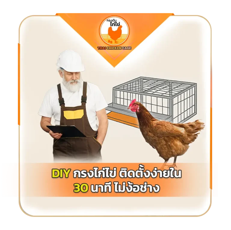 DIY กรงไก่ไข่ ติดตั้งง่ายใน 30 นาที ไม่ง้อช่าง